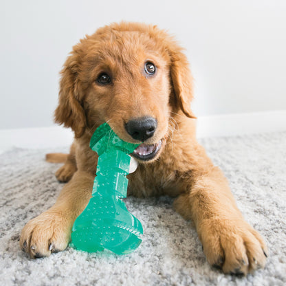 KONG Squeezz Range - Interactive Dog Toys