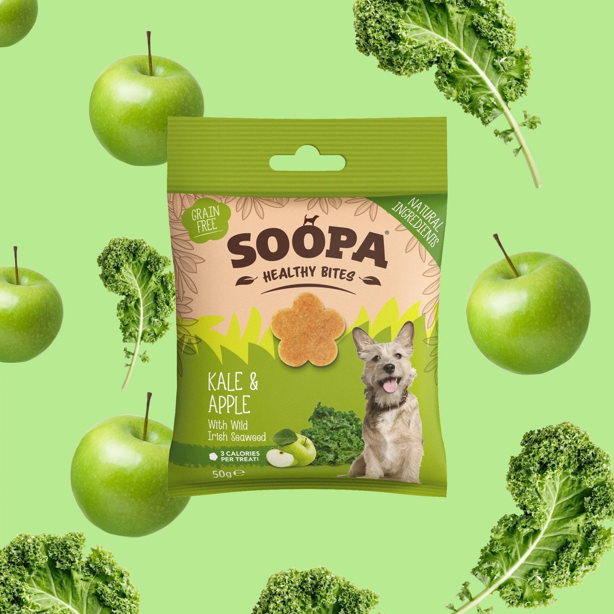 Soopa Healthy Bites & Dental Stick for Dogs, Vegan, Natural Ingredients