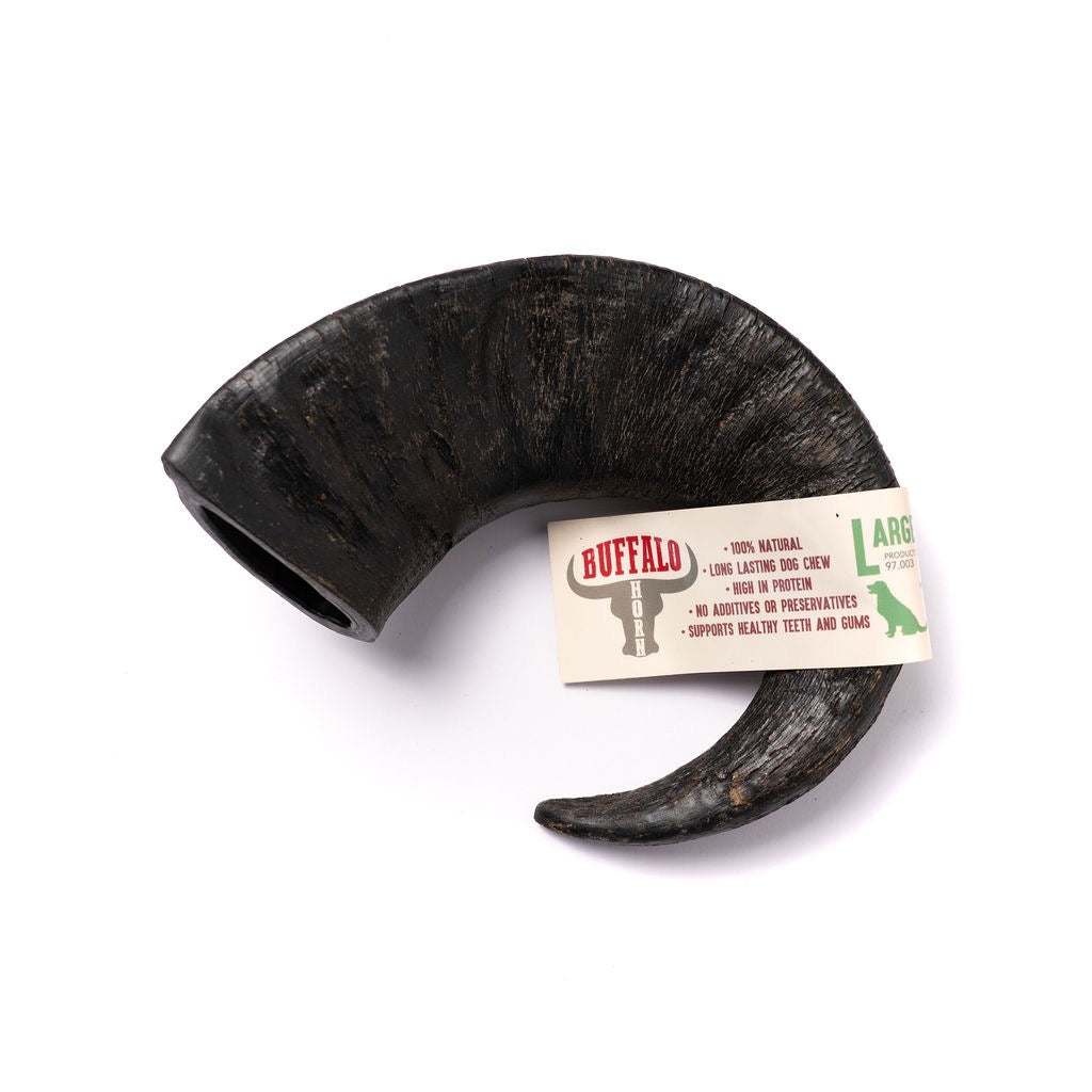 Nova Buffalo Horn Long Lasting Dog Chew