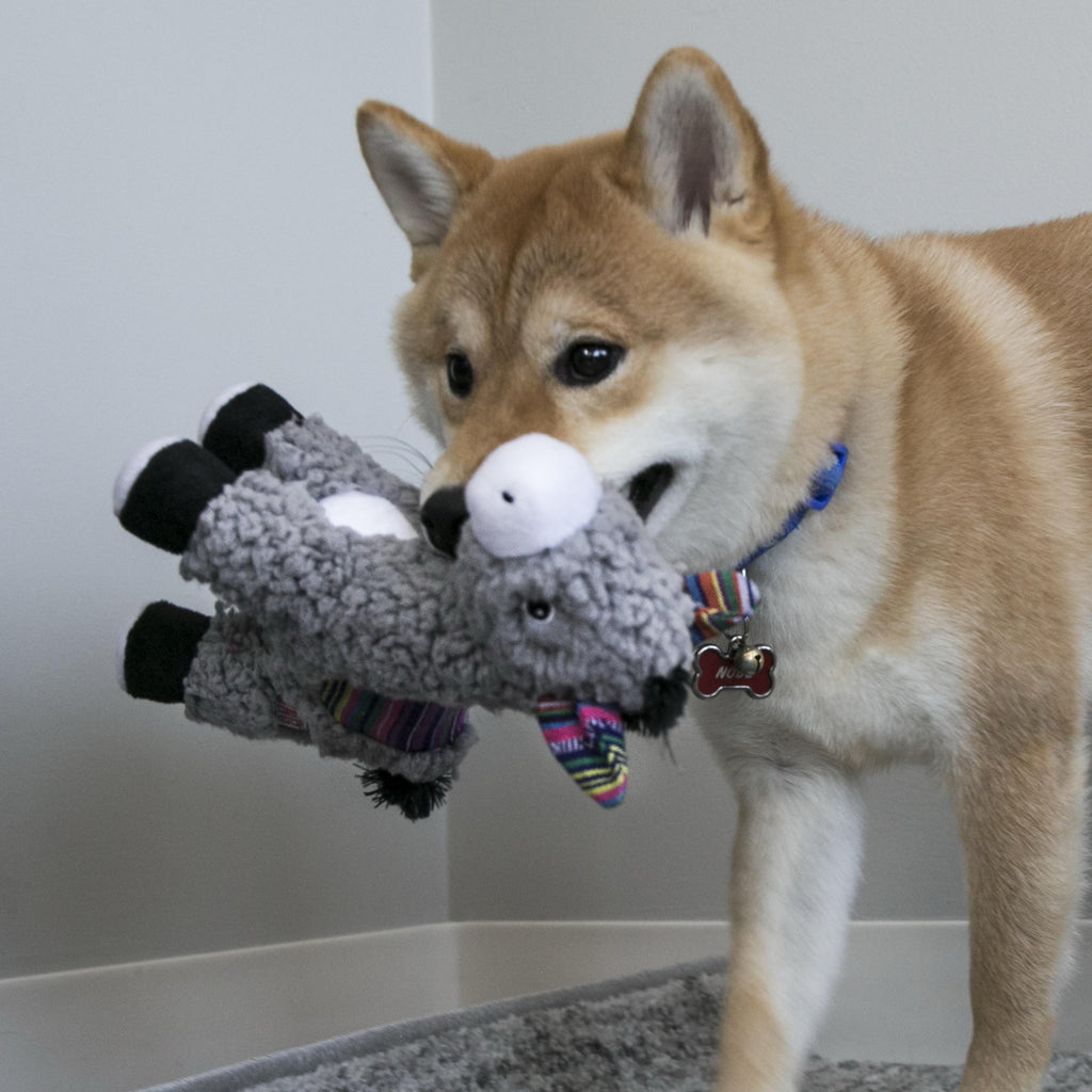 KONG Sherps Plush Dog Toys - Perfect for Your Pet's Fun Playtime