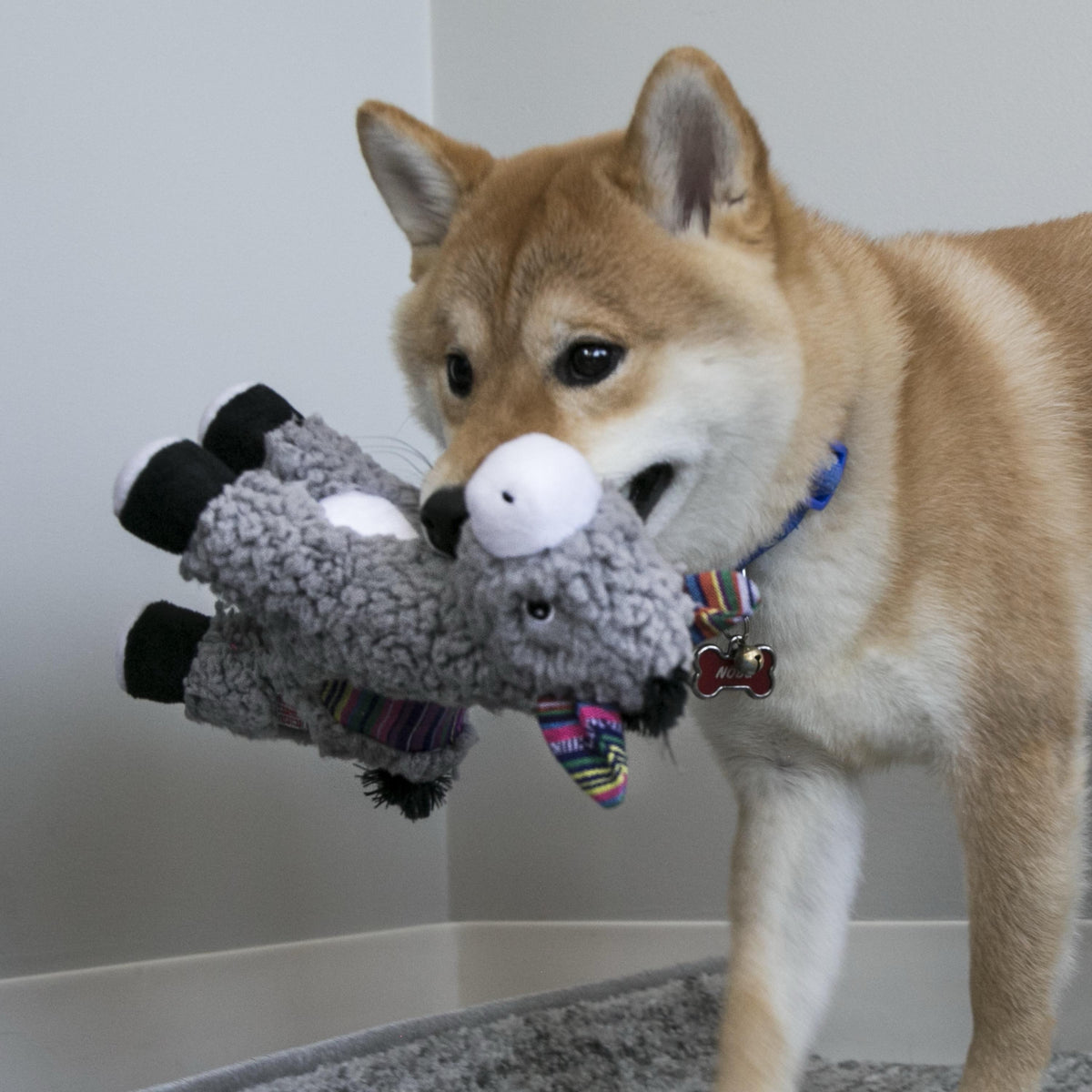 KONG Sherps Plush Dog Toys - Perfect for Your Pet's Fun Playtime