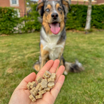 Soopa Healthy Bites - Treats for Dogs, Vegan, Natural Ingredients 50g