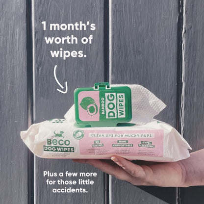 Beco Dog Wipes - Scented Coconut - Safe & Gentle
