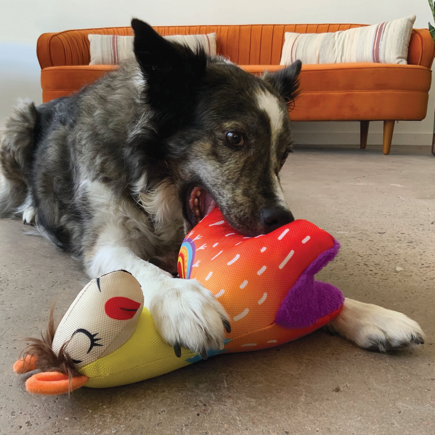 KONG Ballistic Vibez Range Durable Dog Toys