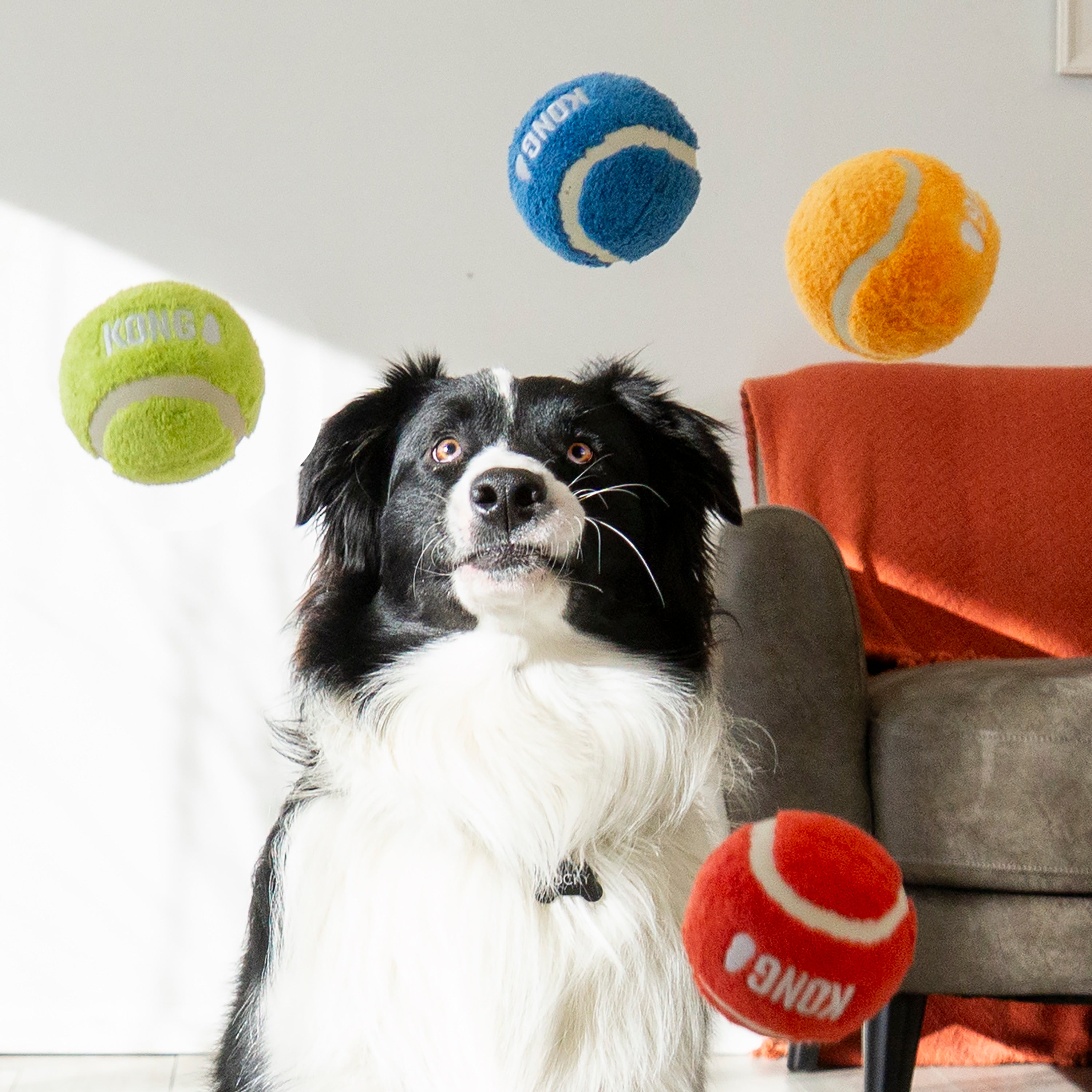 KONG Sport Softies Balls Plush Tennis Ball Dog Toys