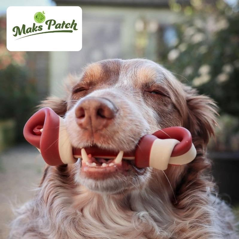 Mak's Patch Range of Vegan Dog Treats 🧀🍅