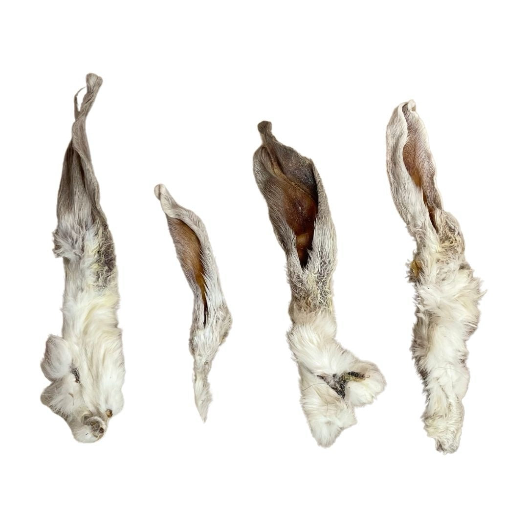 EAR BUNDLE - Natural Treats for Dogs - Ears