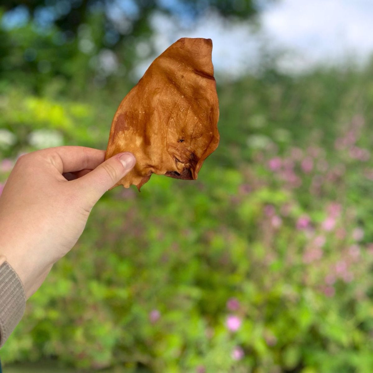 Ear Bundle - Natural Treats for Dogs