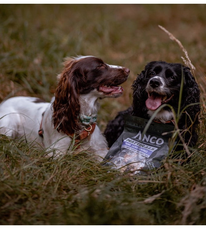 Anco Naturals Packaged Dog Treats