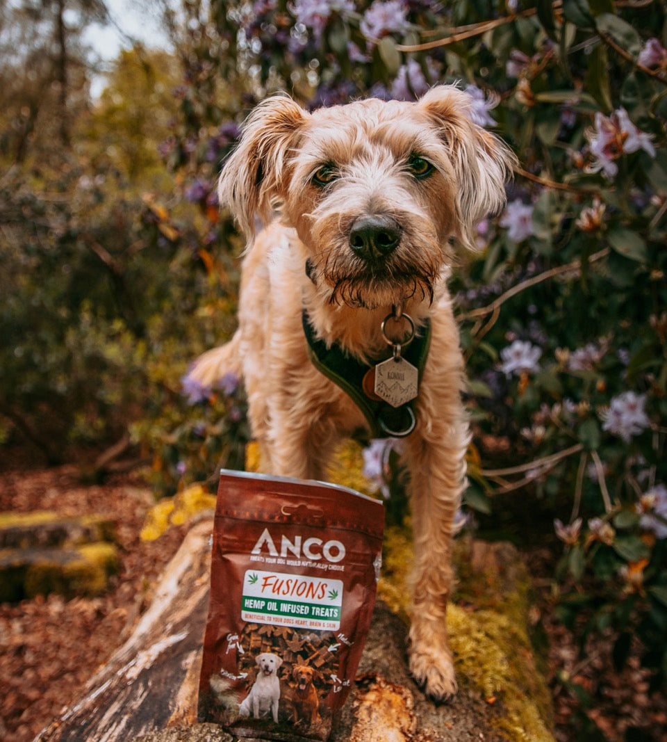 Anco Naturals Packaged Dog Treats