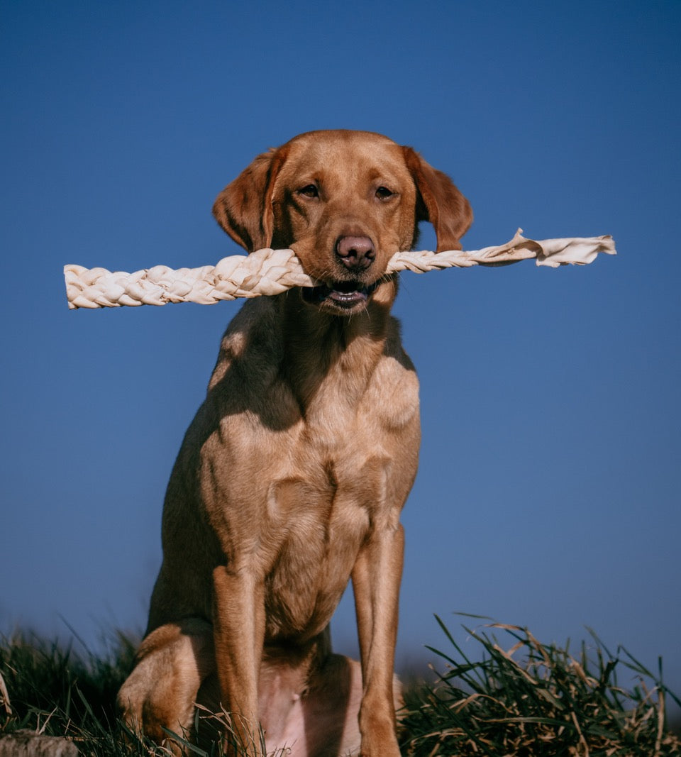 Build a Box - Natural Dog Treats - Build Your Own Bundle