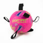 SPORTSPET Range of Dog Balls - Football, Volleyball and Rugby for Dogs