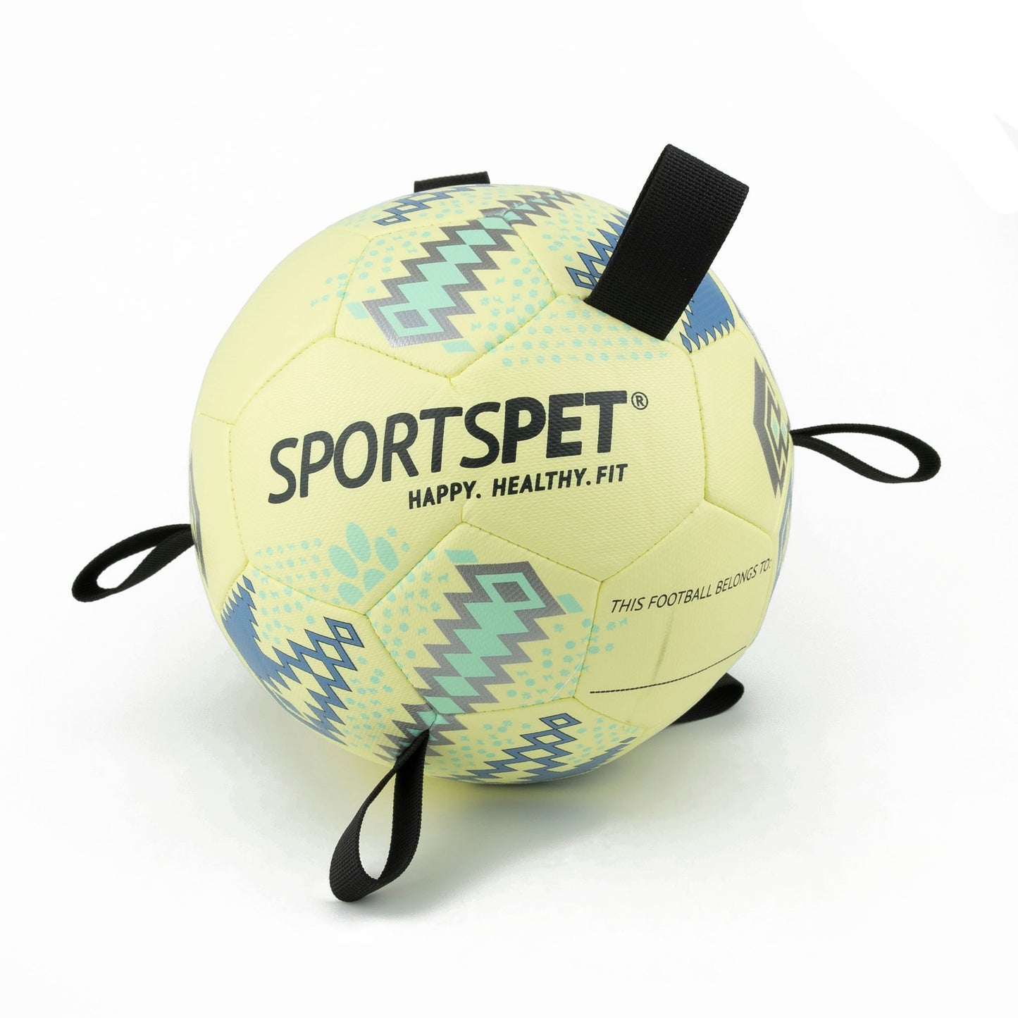 SPORTSPET Range of Dog Balls - Football, Volleyball and Rugby for Dogs