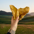 EAR BUNDLE - Natural Treats for Dogs - Ears
