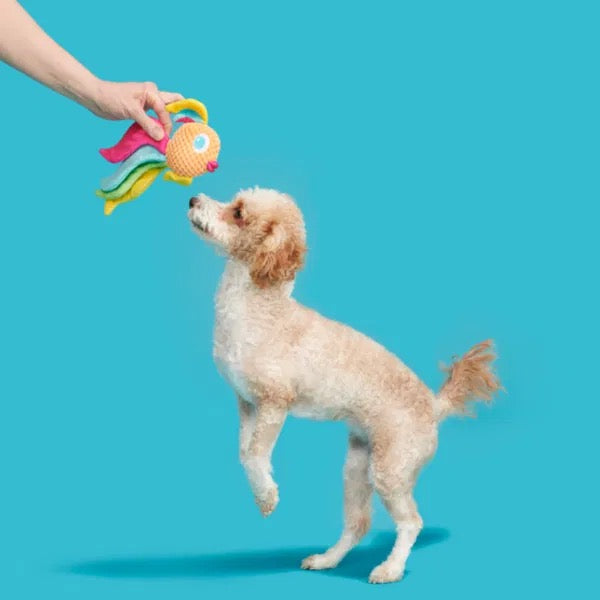 BARK Range of Dog Toys