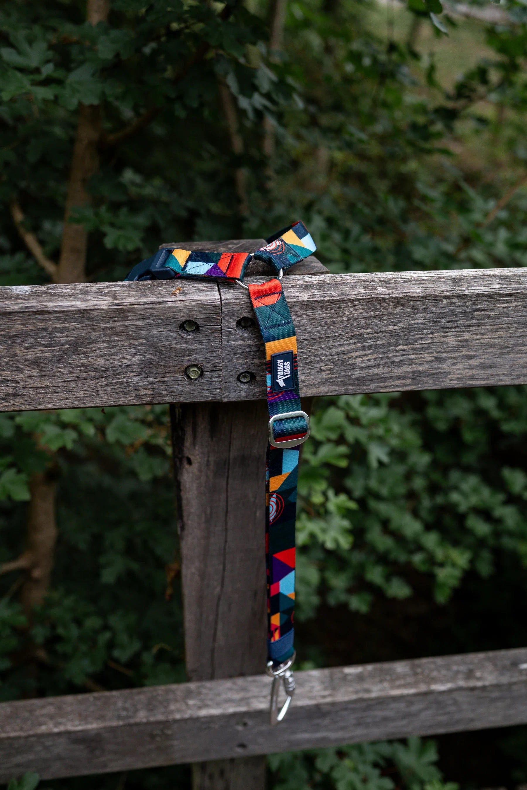 Twiggy Tags Adventure Dog Safety Seatbelt 2.0 - Aurora