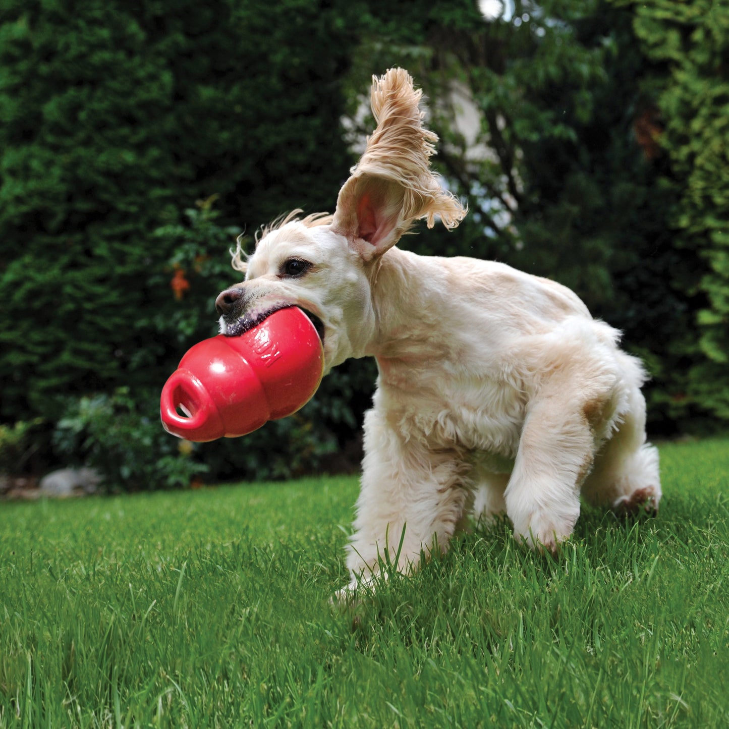 KONG Bounzer Durable Fetch Toy for Dogs