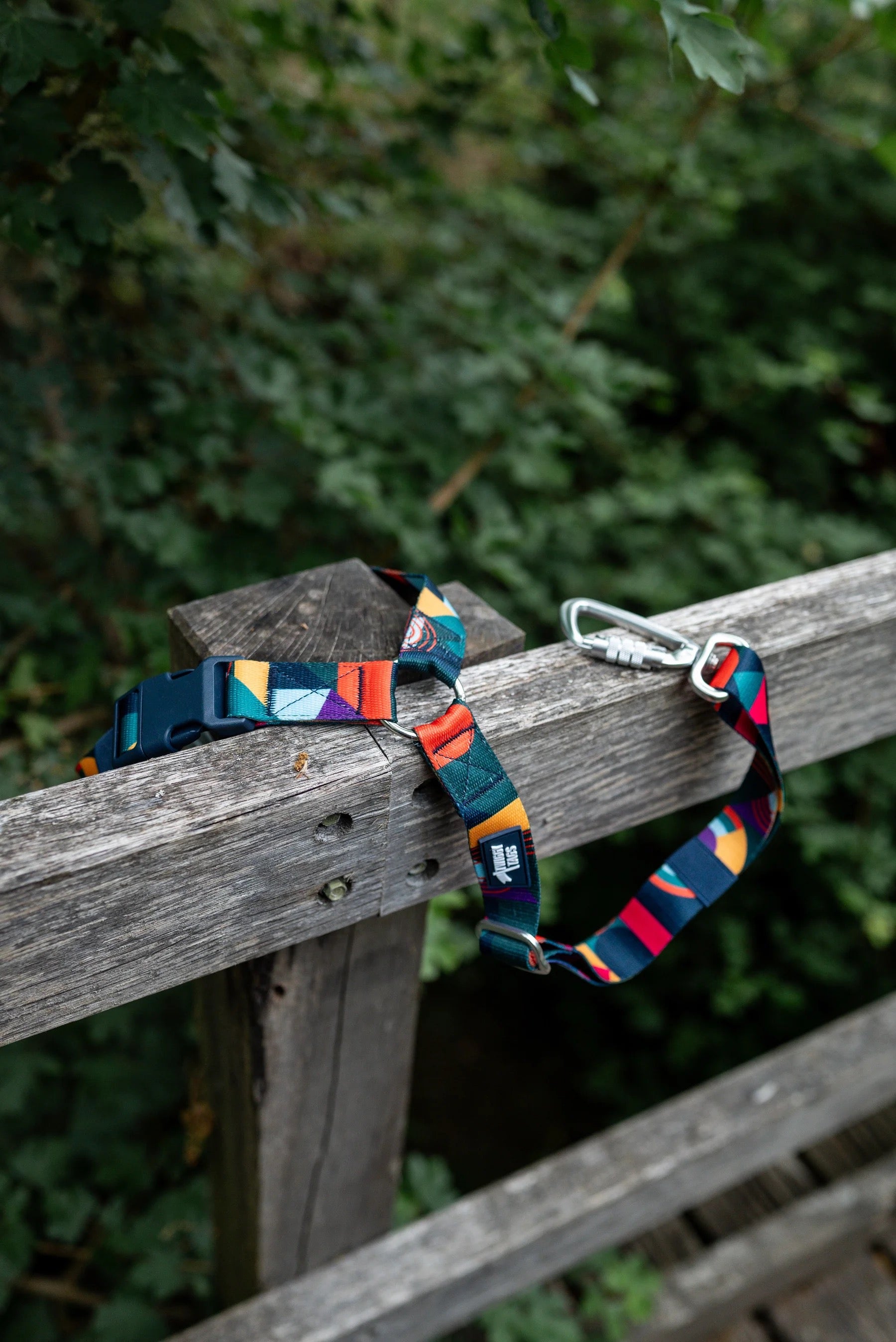 Twiggy Tags Adventure Dog Safety Seatbelt 2.0 - Aurora