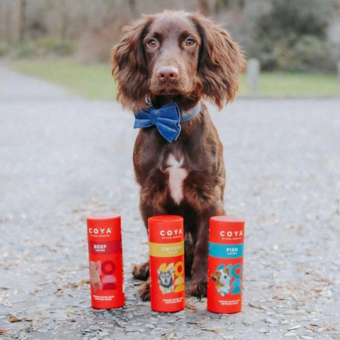 Coya Freeze Dried Meal Toppers for Dogs 50g