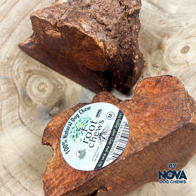Origins Root Dog Chew - Hand Crafted and Eco-Sustainable - Various Sizes