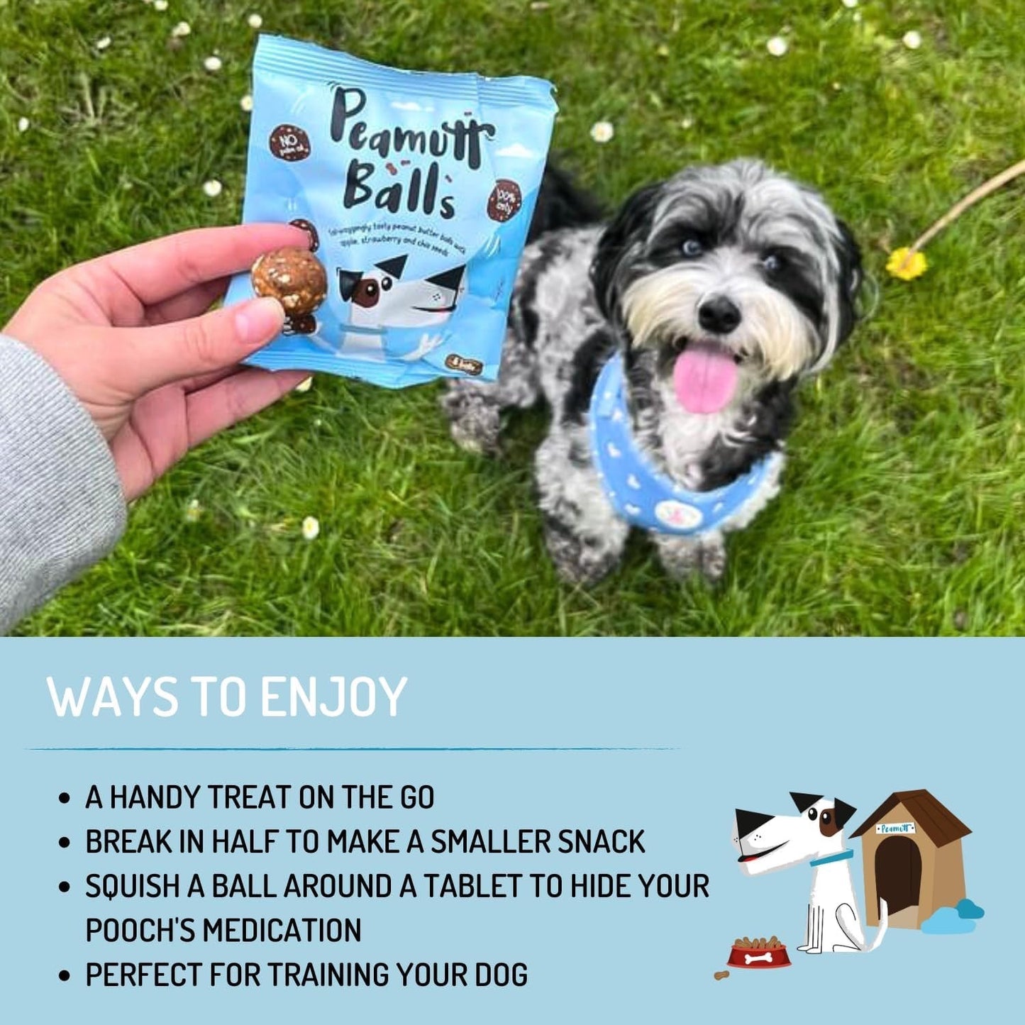 Peamutt Balls 45g -Peanut Butter Dog Treats with Peanuts, Apple and Strawberry