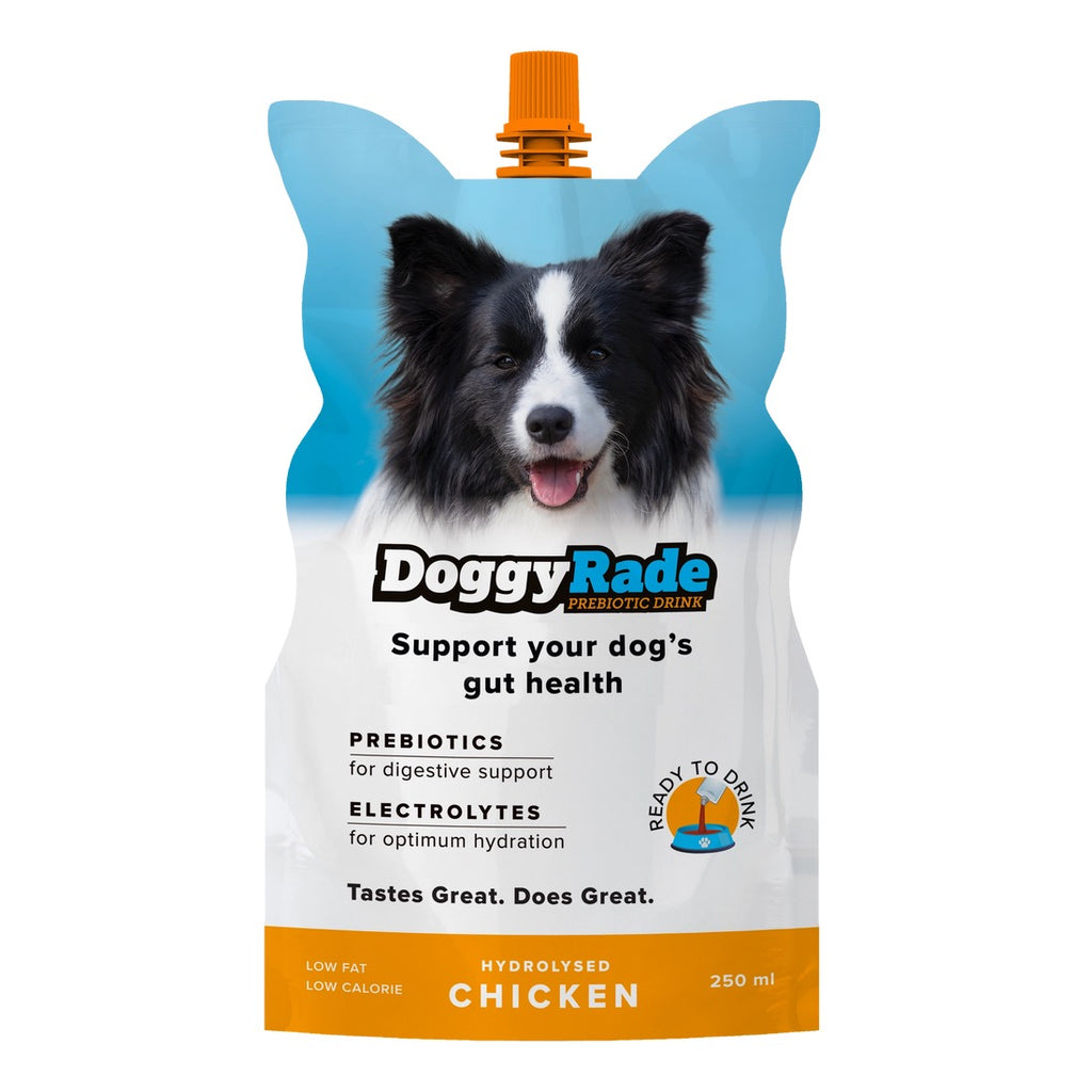 DoggyRade Prebiotic Isotonic Drinks & Meal Toppers for Pets 250ml