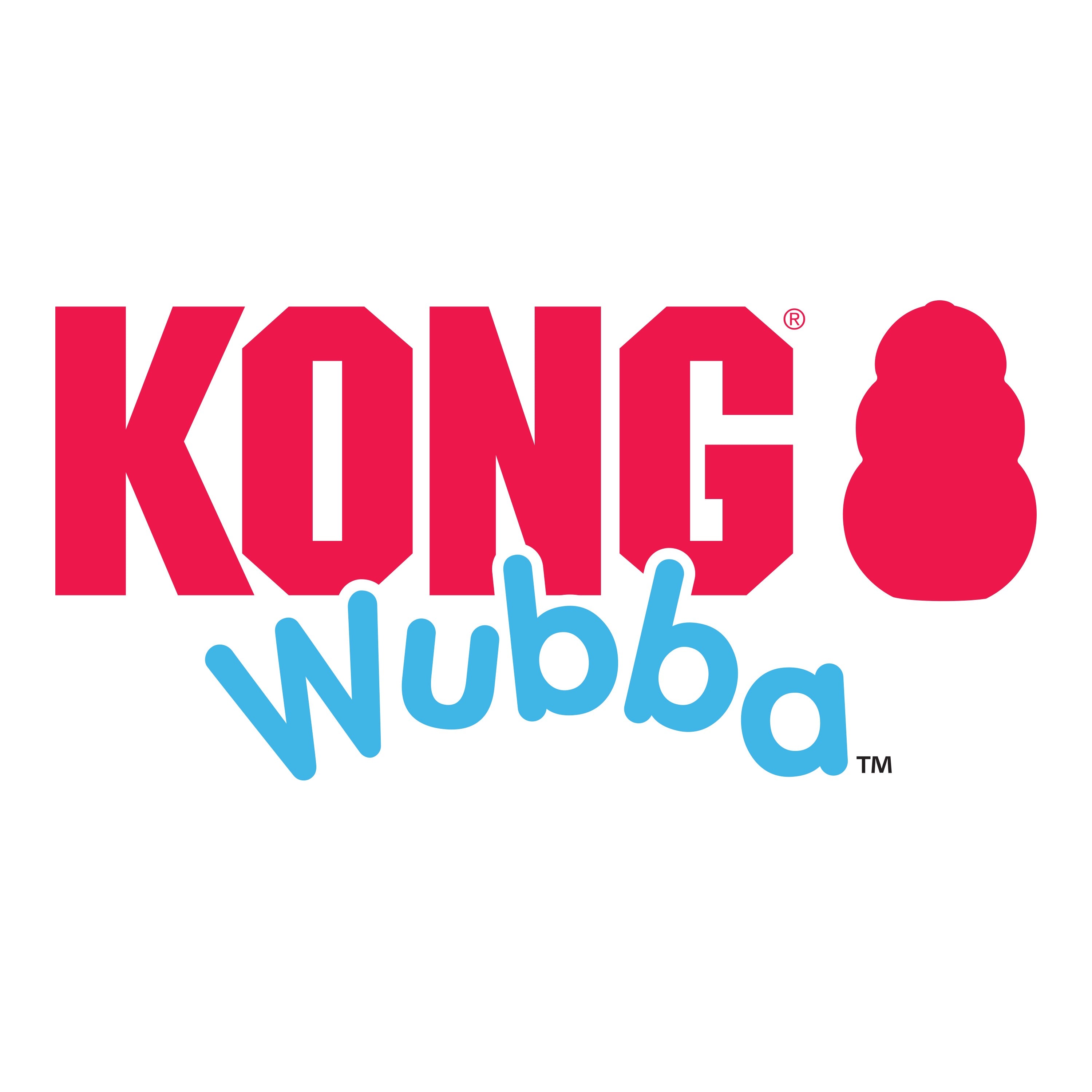 KONG Wubba Puppy Assorted