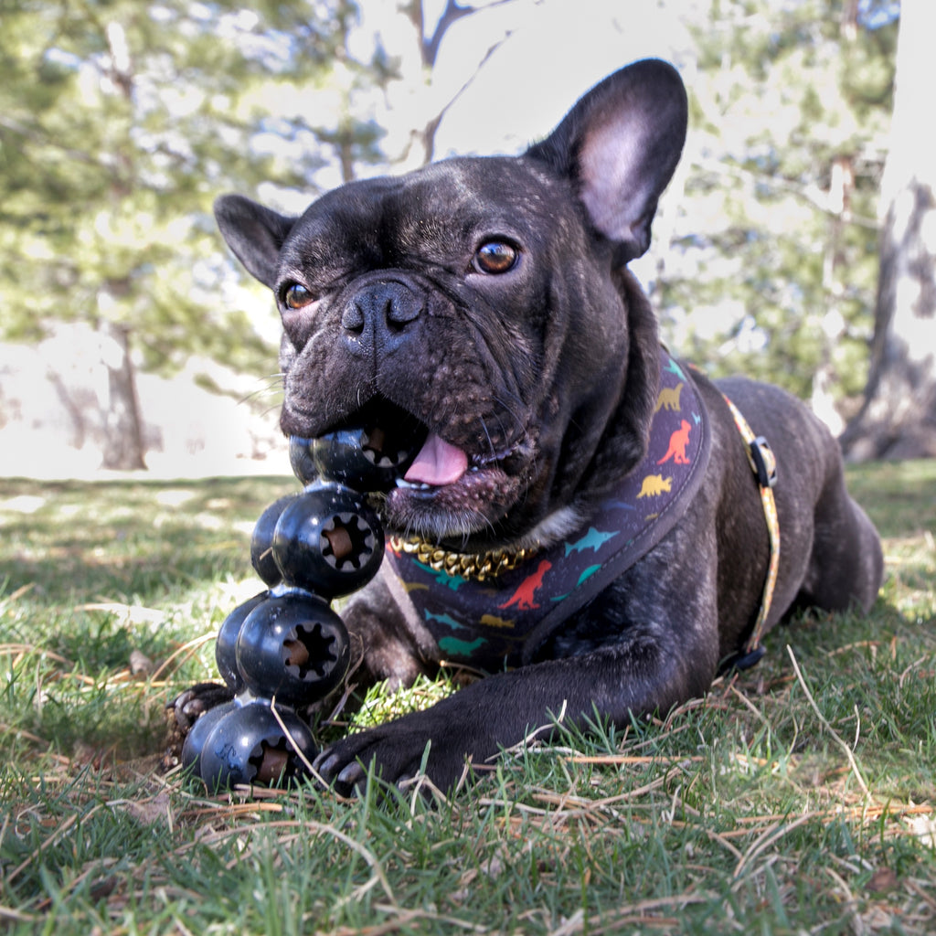 KONG® Extreme Goodie Ribbon