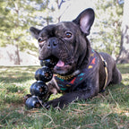 KONG® Extreme Goodie Ribbon