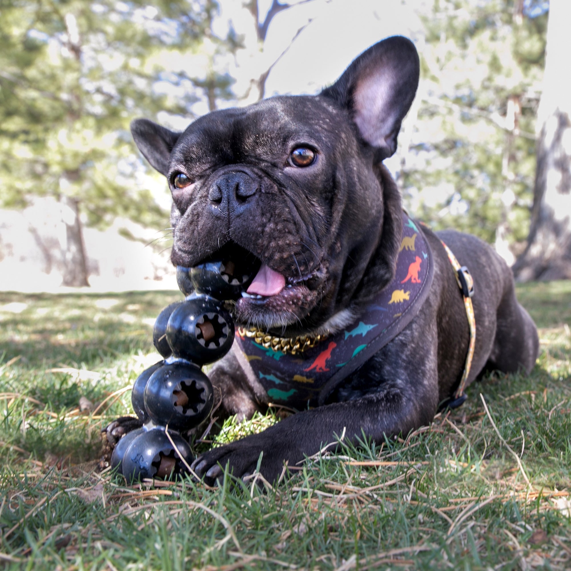 KONG® Extreme Goodie Ribbon