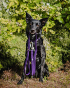 Twiggy Tags Tidal Waterproof Collar - Amethyst