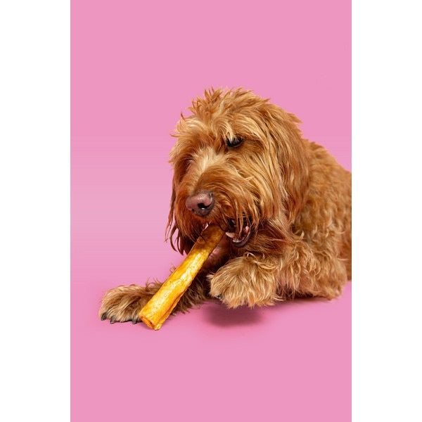 Pawtential Collagen Dog Chews