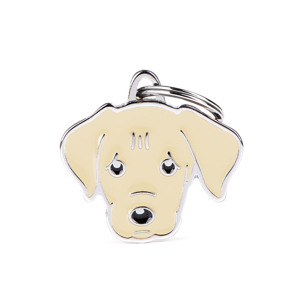 MyFamily Personalised Dog Tags 🐶✨