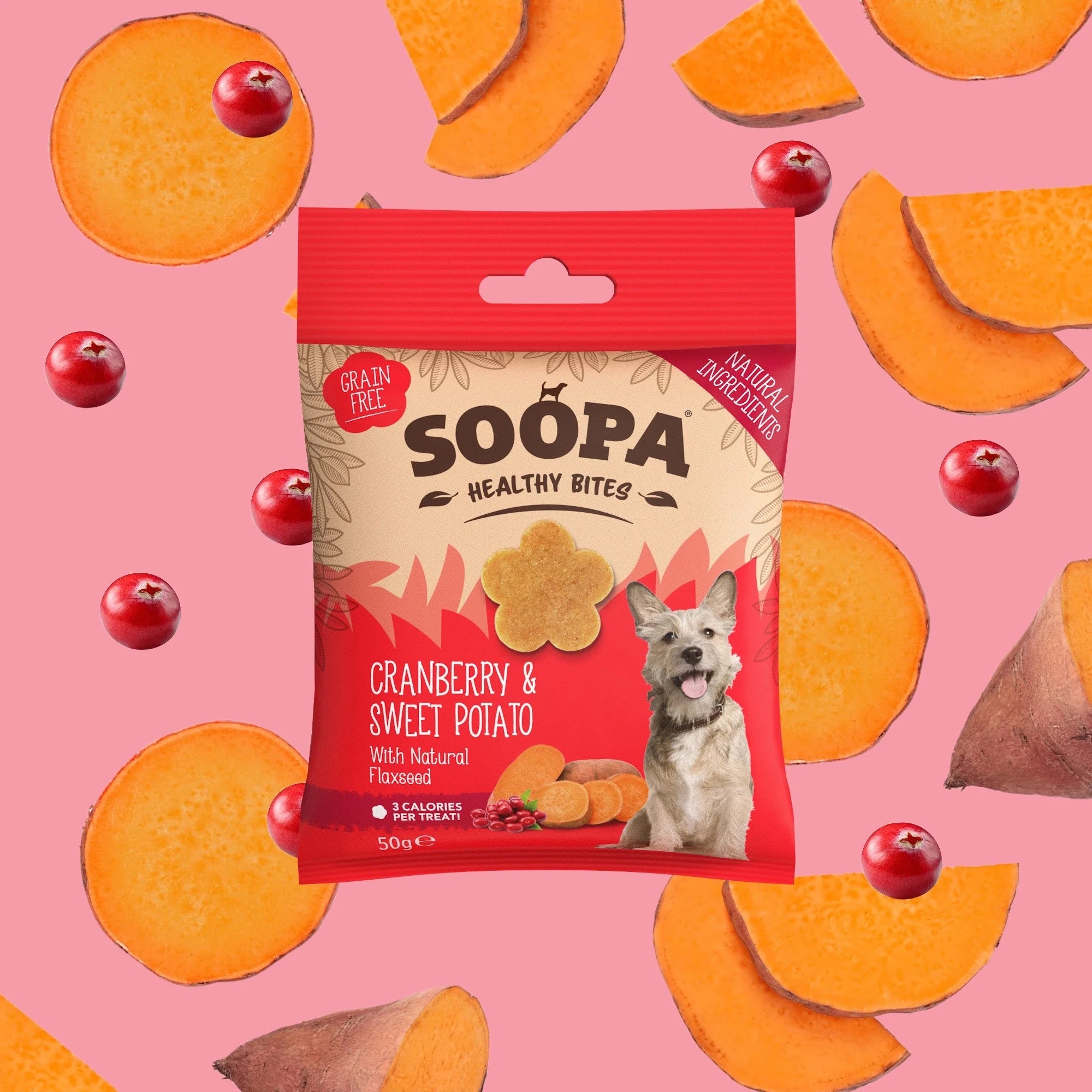 Soopa Healthy Bites & Dental Stick for Dogs, Vegan, Natural Ingredients