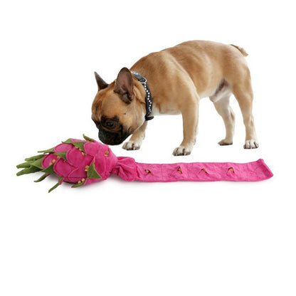 All For Paws Dig It Enrichment Toys