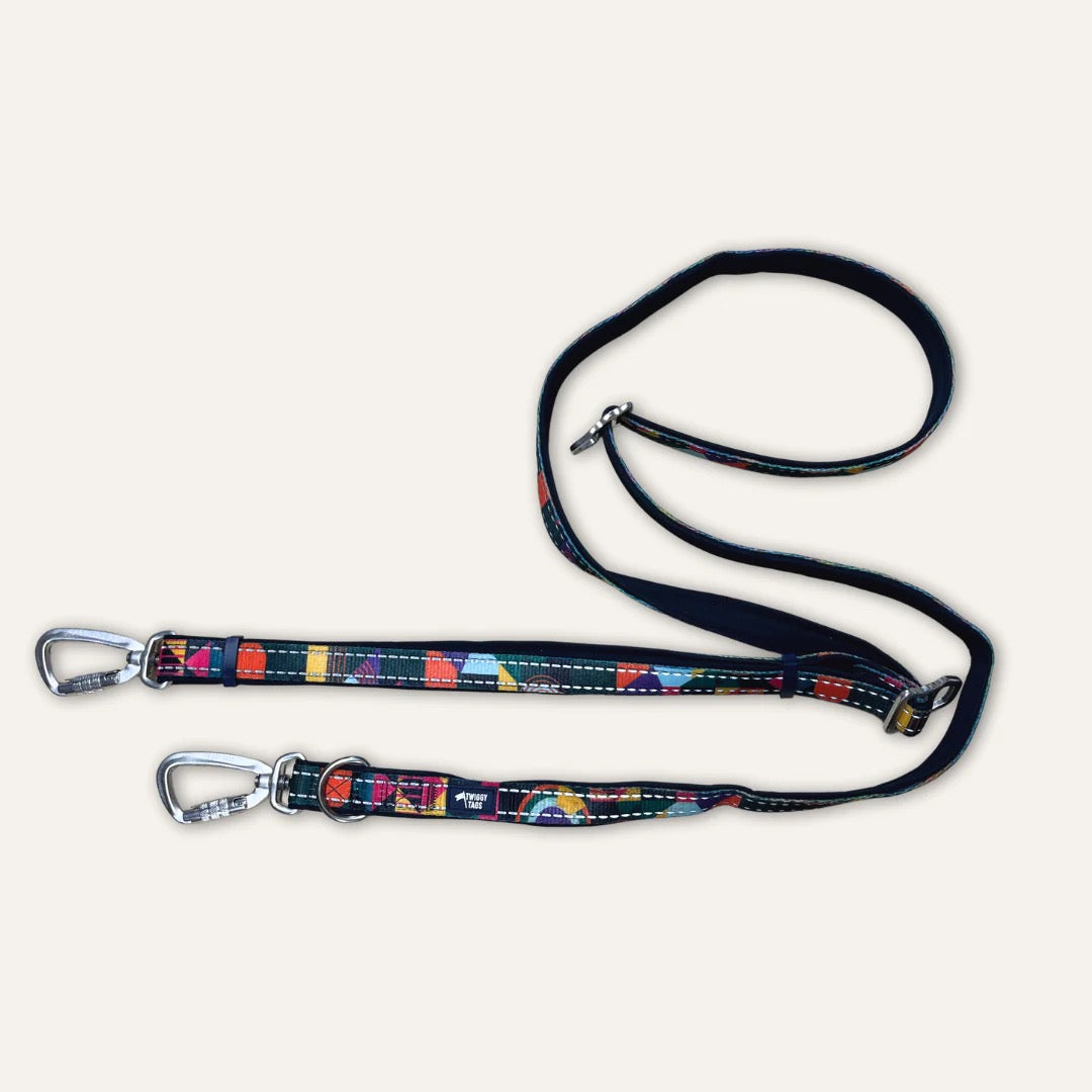 Twiggy Tags Multi-Way Leads