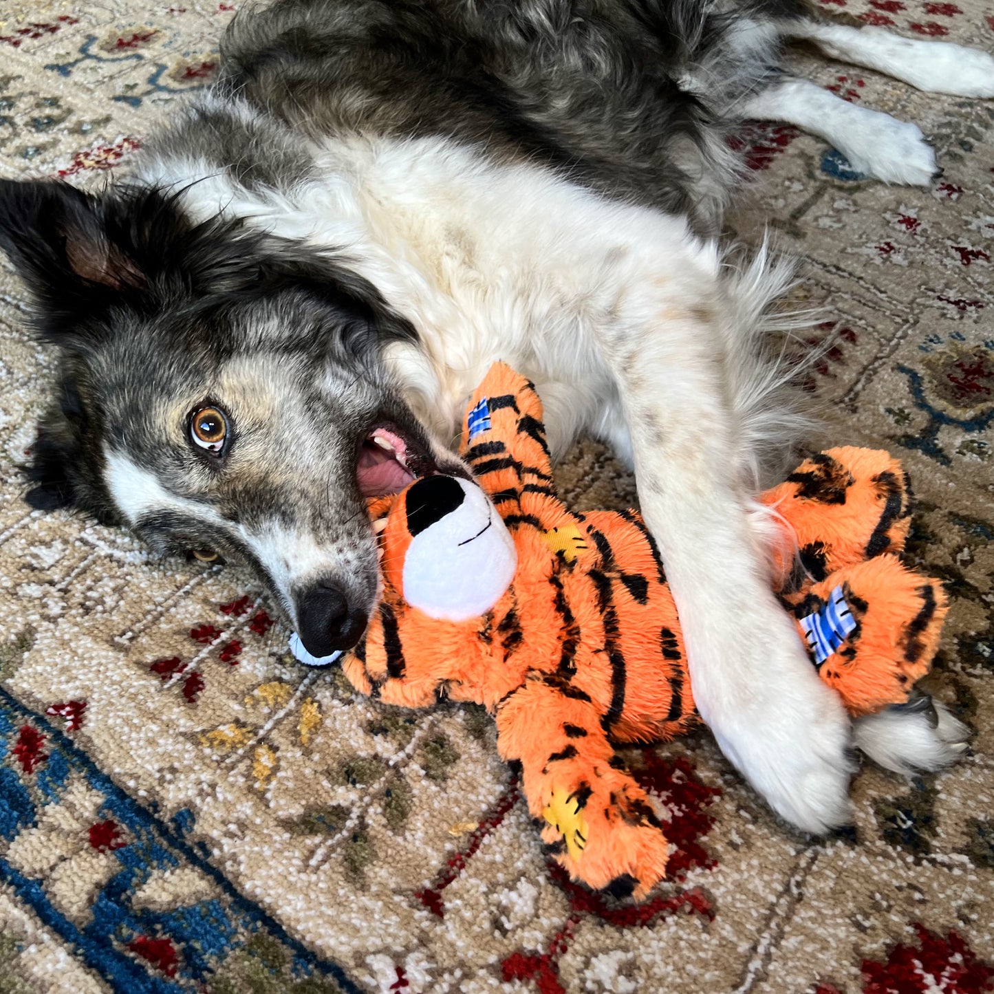 KONG Knots Range Dog Toys with Internal Ropes