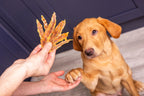 Nutriment Natural Dog Treats - Liver/Jerky/Meaty Strips - Rabbit/Chicken/Beef