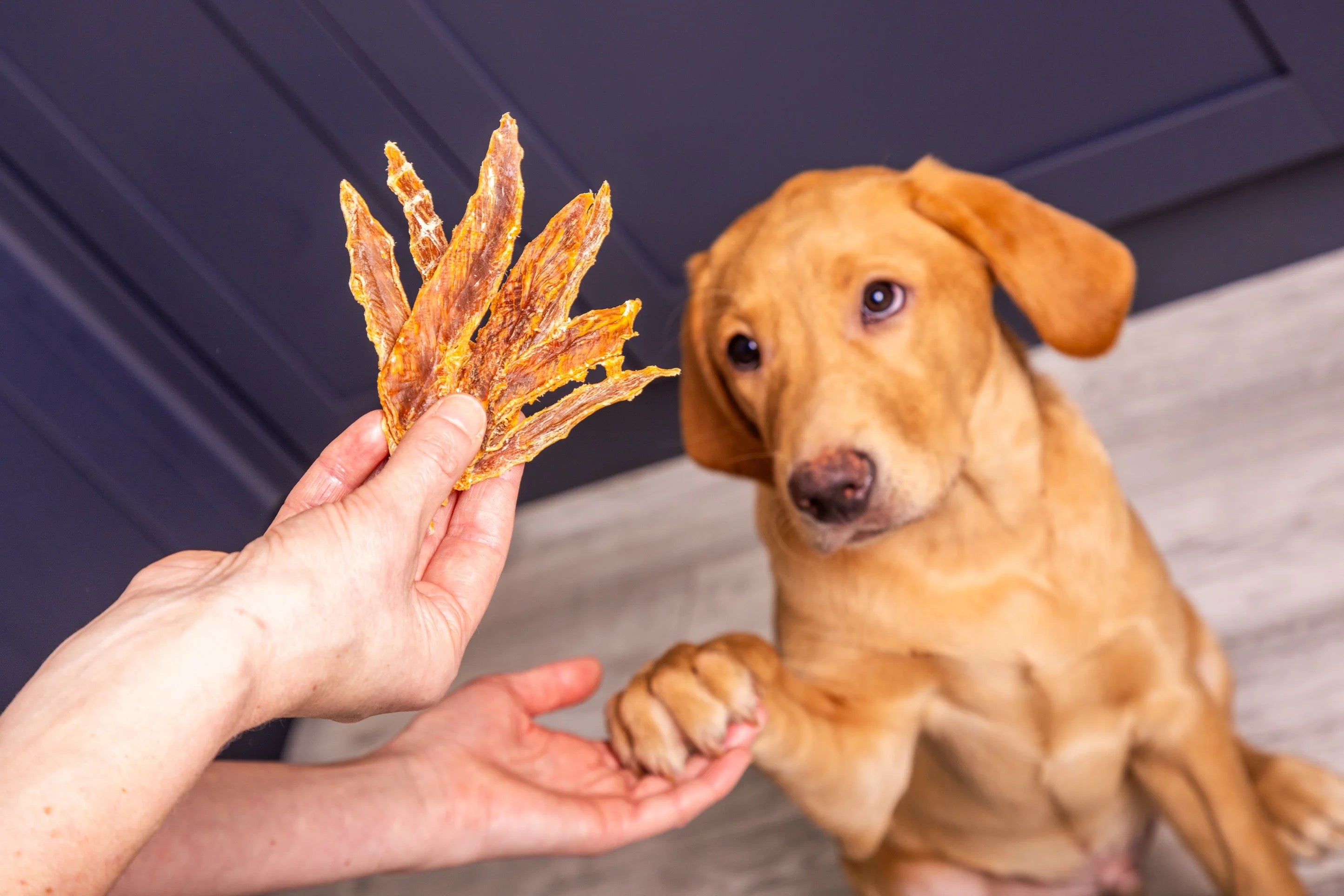 Nutriment Natural Dog Treats - Liver/Jerky/Meaty Strips - Rabbit/Chicken/Beef
