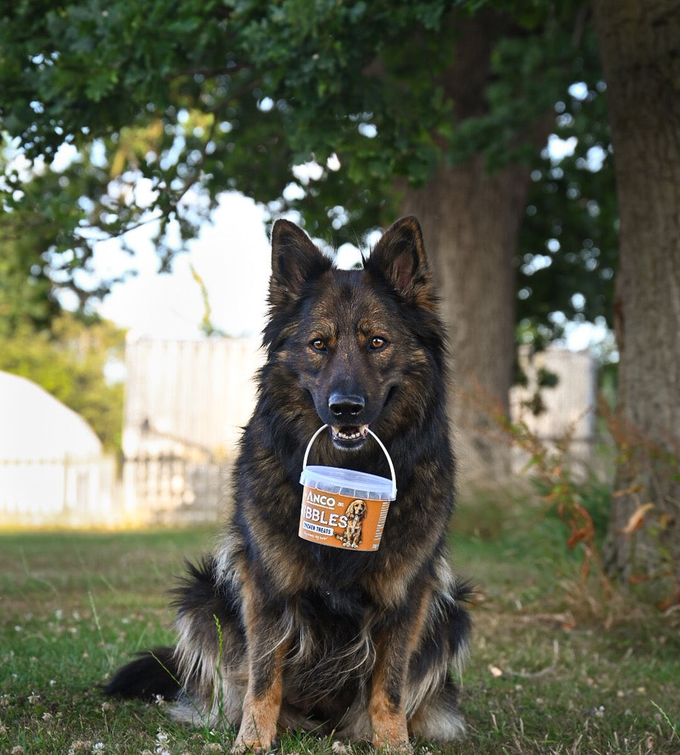 Anco Nibbles Treats 300g