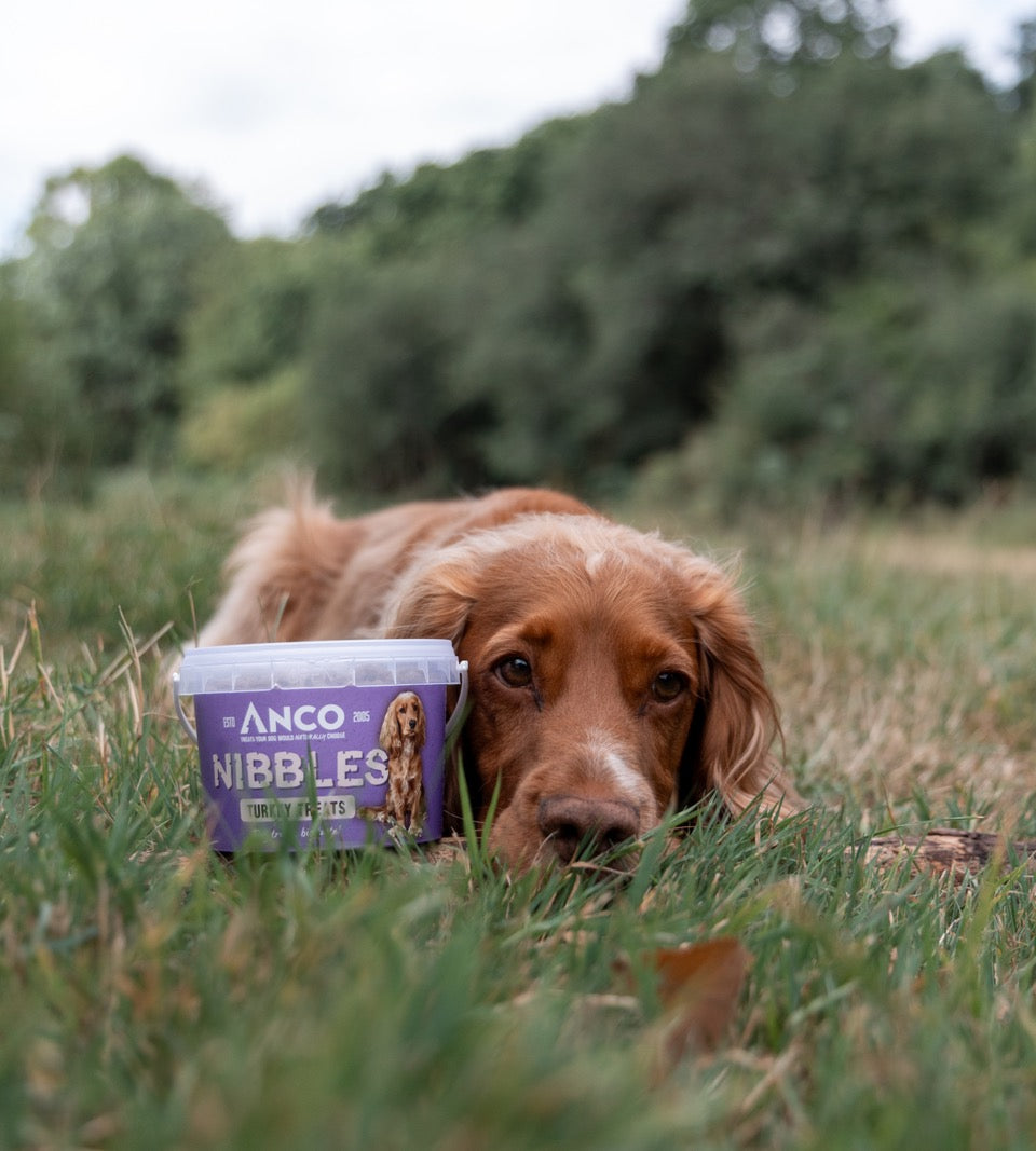 Anco Nibbles Treats 300g