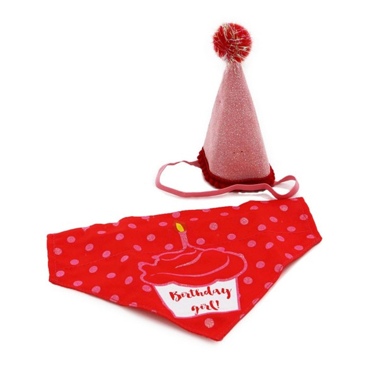 Birthday Party Time - Birthday gifts for Dogs - toy/bandana/hat/cards