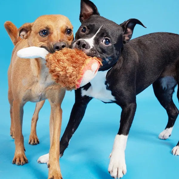 BARK Range of Dog Toys