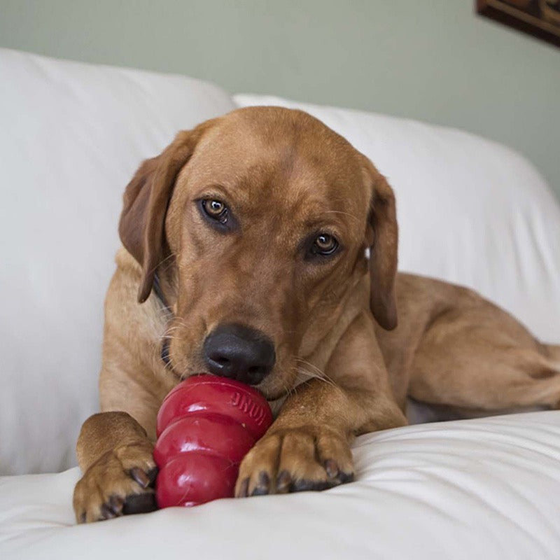KONG Easy Treat Liver