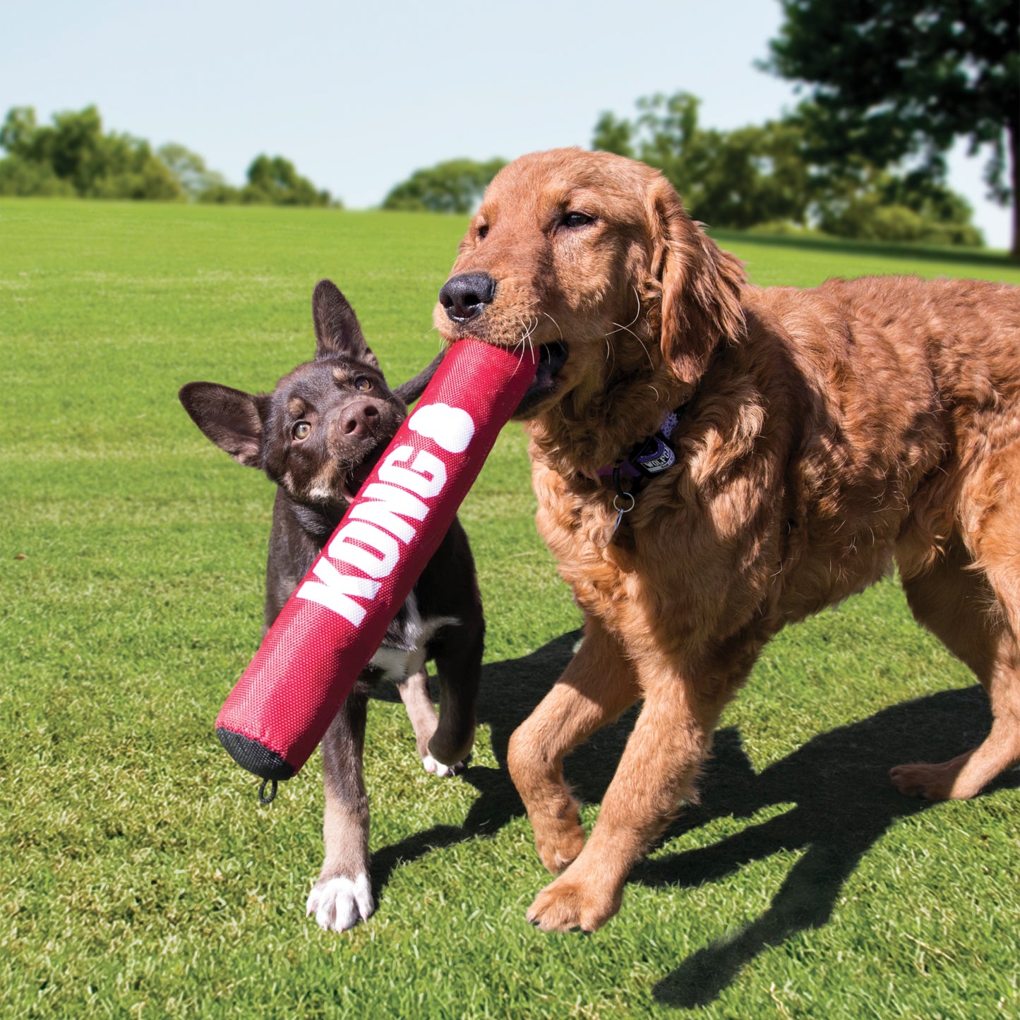 KONG Signature Range - Rope, Crunch, Sticks, Toys for Dogs