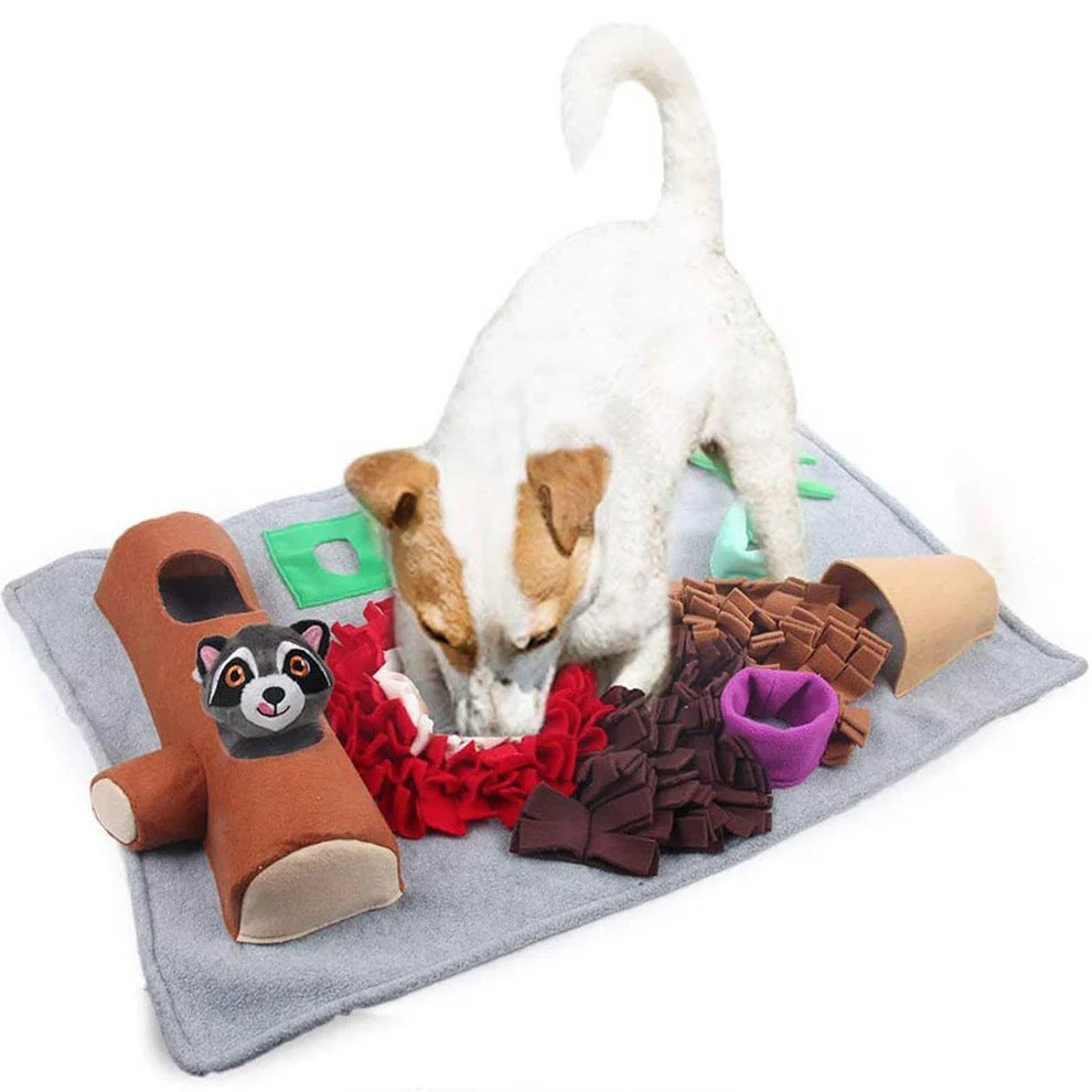 All For Paws Dig It Enrichment Toys