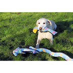 Rosewood Tough Rope Core Dog Toys