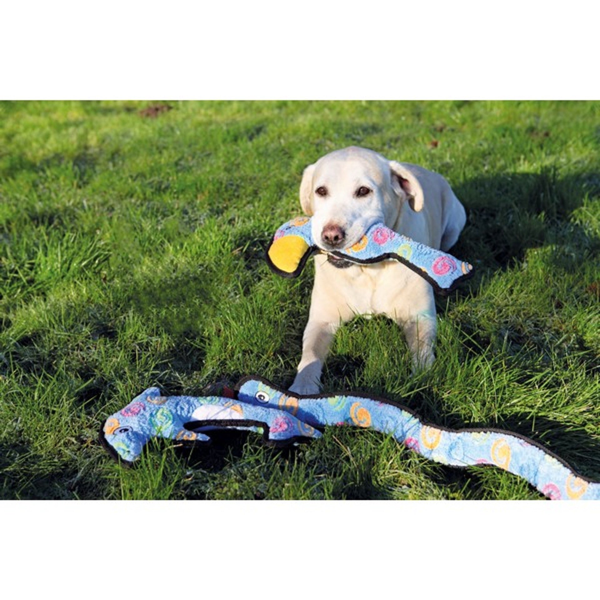 Rosewood Tough Rope Core Dog Toys