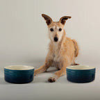 Scruffs Range of Dog Bowls and Canisters
