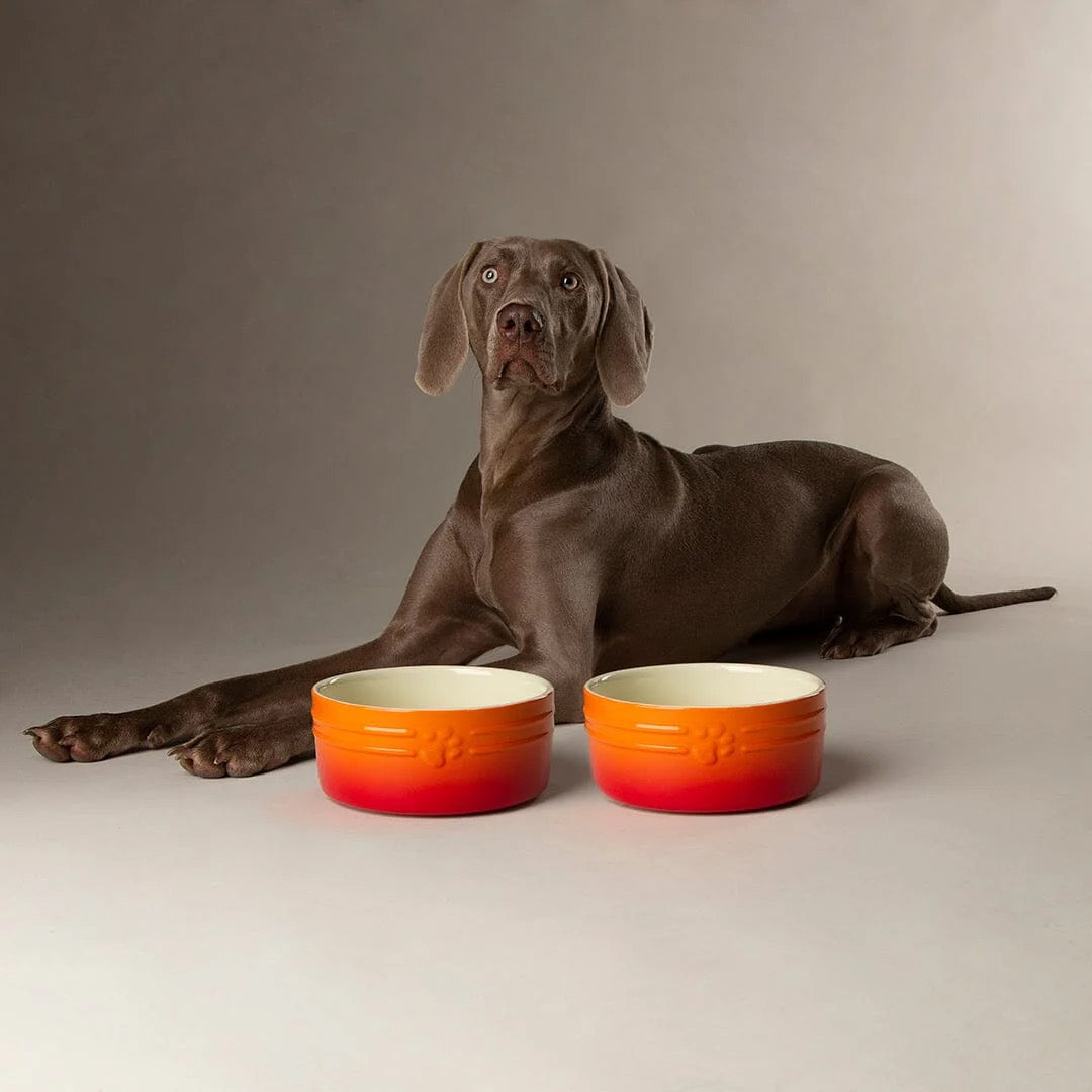 Scruffs Range of Dog Bowls and Canisters